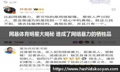 网暴体育明星大揭秘 谁成了网络暴力的牺牲品