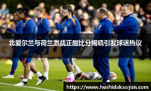 北爱尔兰与荷兰激战正酣比分揭晓引发球迷热议